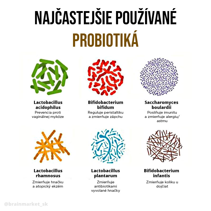 nejcasteji-probiotika-infografika-brainmarket-sk